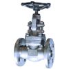 Globe Valve | Control Valves